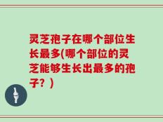 灵芝孢子在哪个部位生长最多(哪个部位的灵芝能够生长出最多的孢子？)