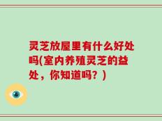 灵芝放屋里有什么好处吗(室内养殖灵芝的益处，你知道吗？)