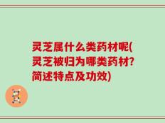 灵芝属什么类药材呢(灵芝被归为哪类药材？简述特点及功效)