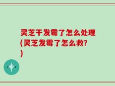 灵芝干发霉了怎么处理(灵芝发霉了怎么救？)
