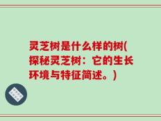 灵芝树是什么样的树(探秘灵芝树：它的生长环境与特征简述。)