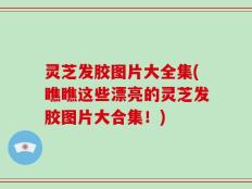 灵芝发胶图片大全集(瞧瞧这些漂亮的灵芝发胶图片大合集！)