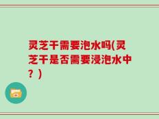 灵芝干需要泡水吗(灵芝干是否需要浸泡水中？)