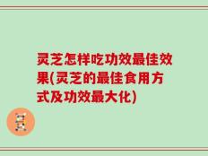 灵芝怎样吃功效最佳效果(灵芝的最佳食用方式及功效最大化)