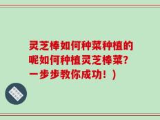 灵芝棒如何种菜种植的呢如何种植灵芝棒菜？一步步教你成功！)