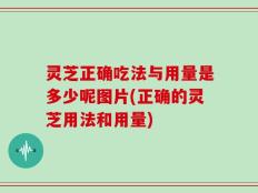 灵芝正确吃法与用量是多少呢图片(正确的灵芝用法和用量)