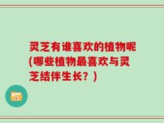 灵芝有谁喜欢的植物呢(哪些植物最喜欢与灵芝结伴生长？)
