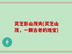 灵芝影山茂夫(灵芝山茂，一颗古老的瑰宝)