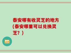 泰安哪有收灵芝的地方(泰安哪里可以兑换灵芝？)