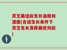 灵芝最适应生长温度和湿度(合适生长条件下灵芝生长发挥最优效应)