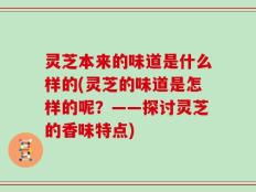 灵芝本来的味道是什么样的(灵芝的味道是怎样的呢？——探讨灵芝的香味特点)