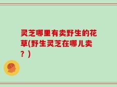 灵芝哪里有卖野生的花草(野生灵芝在哪儿卖？)