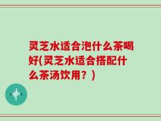 灵芝水适合泡什么茶喝好(灵芝水适合搭配什么茶汤饮用？)