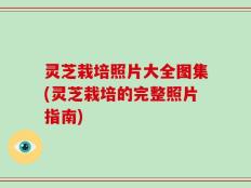 灵芝栽培照片大全图集(灵芝栽培的完整照片指南)