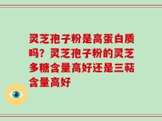 灵芝孢子粉是高蛋白质吗？灵芝孢子粉的灵芝多糖含量高好还是三萜含量高好