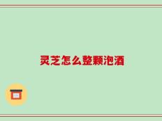 灵芝怎么整颗泡酒