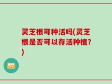 灵芝根可种活吗(灵芝根是否可以存活种植？)