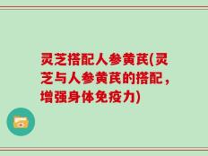 灵芝搭配人参黄芪(灵芝与人参黄芪的搭配，增强身体免疫力)