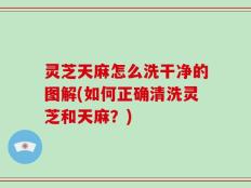 灵芝天麻怎么洗干净的图解(如何正确清洗灵芝和天麻？)