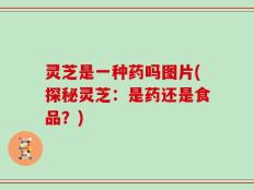 灵芝是一种药吗图片(探秘灵芝：是药还是食品？)