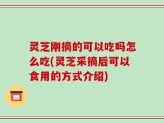 灵芝刚摘的可以吃吗怎么吃(灵芝采摘后可以食用的方式介绍)