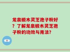 龙泉椴木灵芝孢子粉好？了解龙泉椴木灵芝孢子粉的功效与用法？