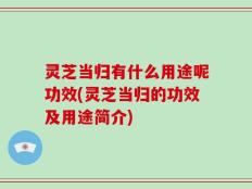 灵芝当归有什么用途呢功效(灵芝当归的功效及用途简介)