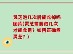 灵芝泡几次后能吃掉吗图片(灵芝需要泡几次才能食用？如何正确煮灵芝？)