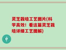 灵芝栽培工艺图片(科学高效！看这篇灵芝栽培详细工艺图解)