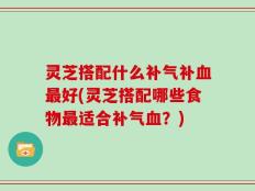 灵芝搭配什么补气补血最好(灵芝搭配哪些食物最适合补气血？)