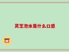 灵芝泡水是什么口感