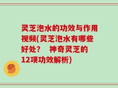 灵芝泡水的功效与作用视频(灵芝泡水有哪些好处？  神奇灵芝的12项功效解析)