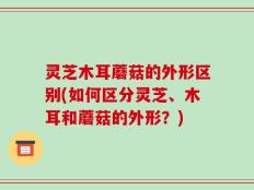 灵芝木耳蘑菇的外形区别(如何区分灵芝、木耳和蘑菇的外形？)
