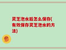 灵芝泡水后怎么保存(有效保存灵芝泡水的方法)