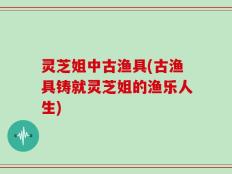 灵芝姐中古渔具(古渔具铸就灵芝姐的渔乐人生)