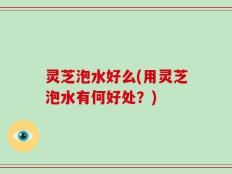 灵芝泡水好么(用灵芝泡水有何好处？)