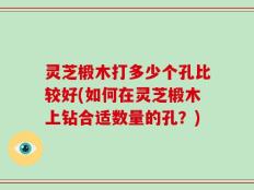 灵芝椴木打多少个孔比较好(如何在灵芝椴木上钻合适数量的孔？)