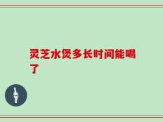 灵芝水煲多长时间能喝了