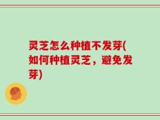 灵芝怎么种植不发芽(如何种植灵芝，避免发芽)