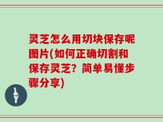 灵芝怎么用切块保存呢图片(如何正确切割和保存灵芝？简单易懂步骤分享)