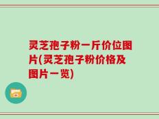 灵芝孢子粉一斤价位图片(灵芝孢子粉价格及图片一览)