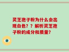 灵芝孢子粉为什么会出现白色？？解析灵芝孢子粉的成分和质量？