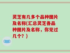 灵芝有几多个品种图片及名称(汇总灵芝各品种图片及名称，你见过几个？)