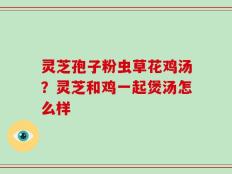 灵芝孢子粉虫草花鸡汤？灵芝和鸡一起煲汤怎么样