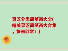灵芝分类简笔画大全(精美灵芝简笔画大合集，快来欣赏！)