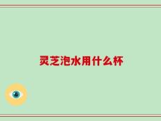 灵芝泡水用什么杯