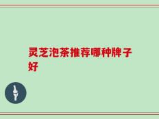 灵芝泡茶推荐哪种牌子好