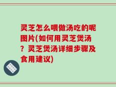 灵芝怎么喂做汤吃的呢图片(如何用灵芝煲汤？灵芝煲汤详细步骤及食用建议)