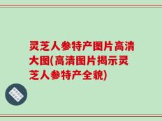 灵芝人参特产图片高清大图(高清图片揭示灵芝人参特产全貌)