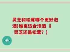 灵芝和松茸哪个更好泡酒(谁更适合泡酒 – 灵芝还是松茸？)